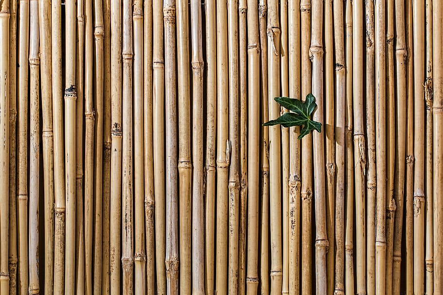 palm leaf, bamboo  material, repeating pattern, backdrop