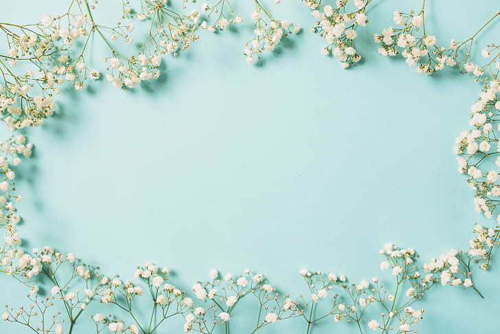 Pinterest Floral, flowers, spring, background, frame Free HD Wallpaper