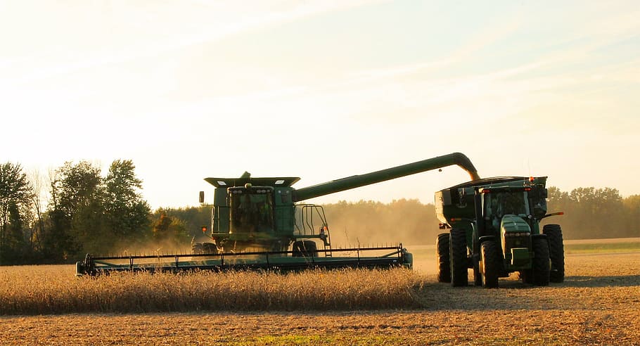 Soybean Field Harvest, connect, occupation, working, machinery Free HD Wallpaper