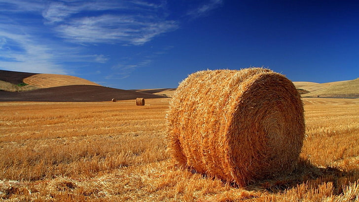 Square Straw Bales, nature, hay, farm, tranquil scene Free HD Wallpaper