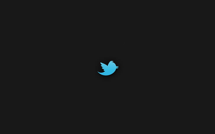 TikTok Logo, social network, bird, twitter Free HD Wallpaper