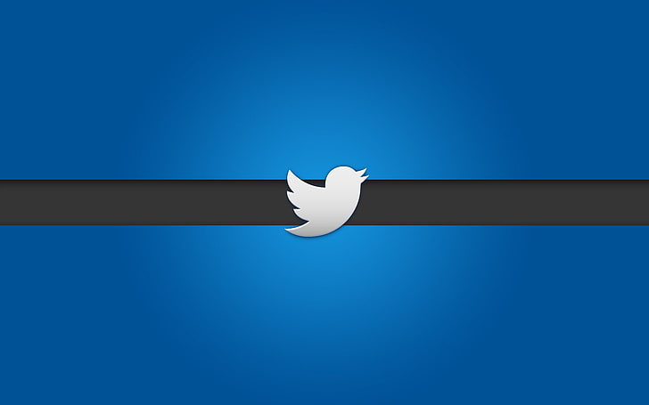 Twitter Bird, technology, twitter Free HD Wallpaper