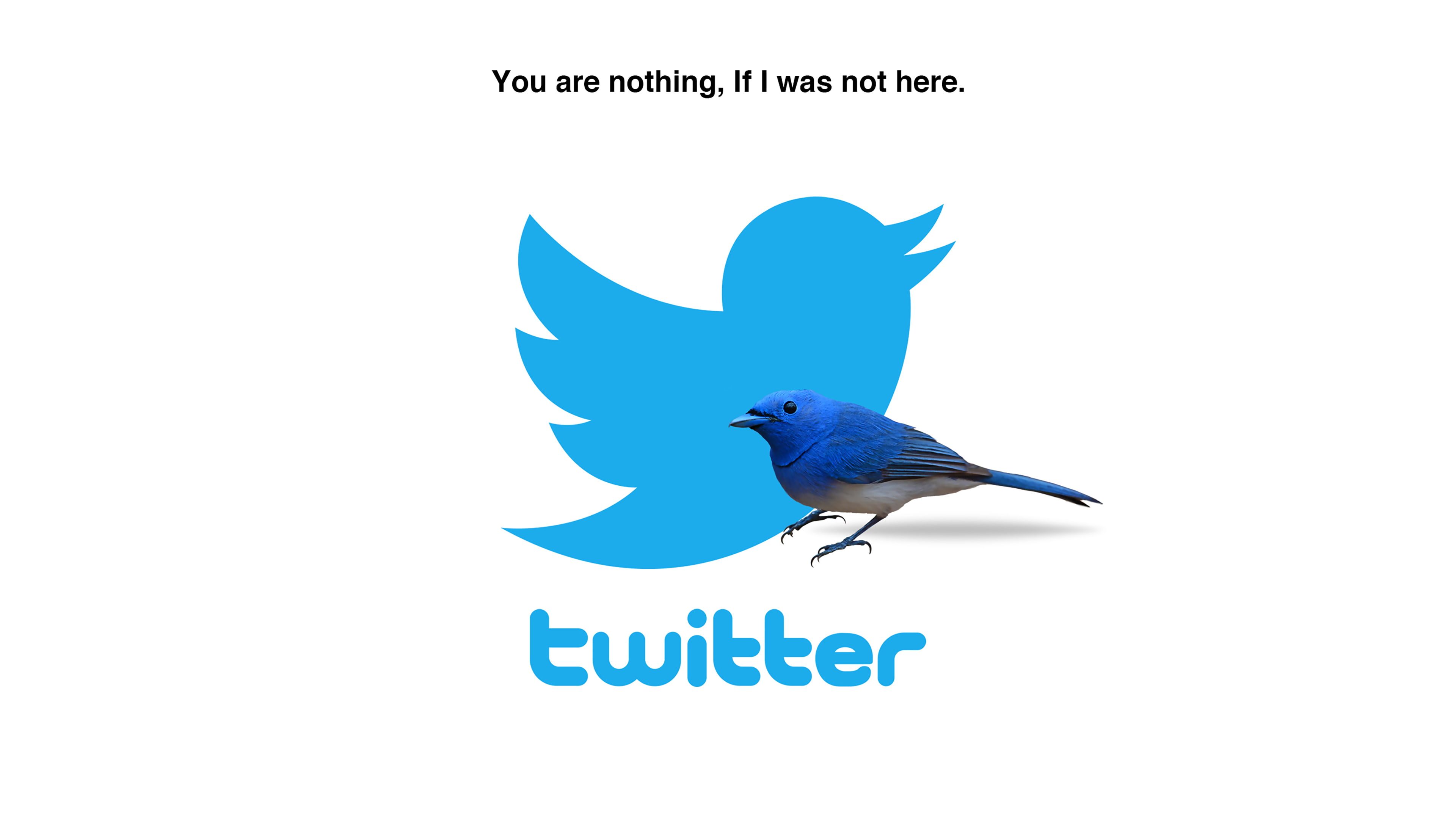 twitter