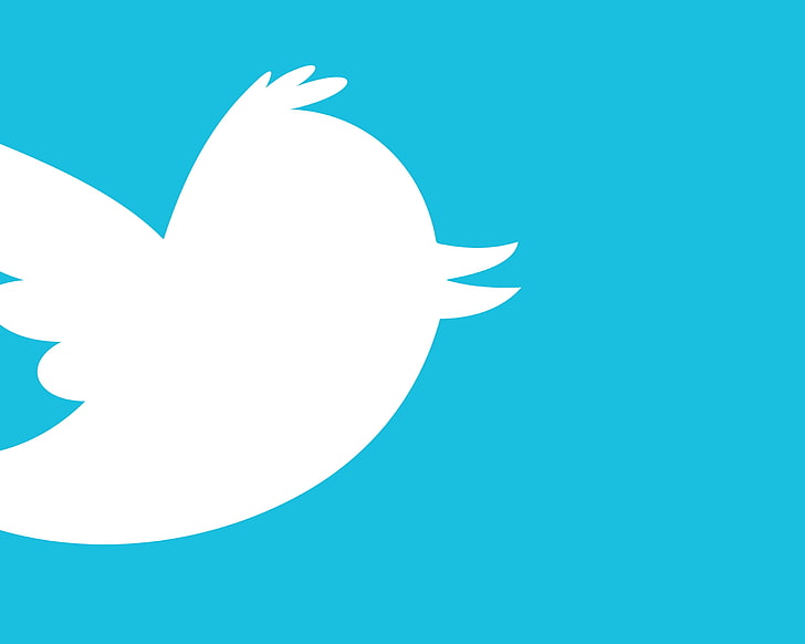 Twitter Logo Change, flying, colored background, computer graphic, turquoise colored Free HD Wallpaper