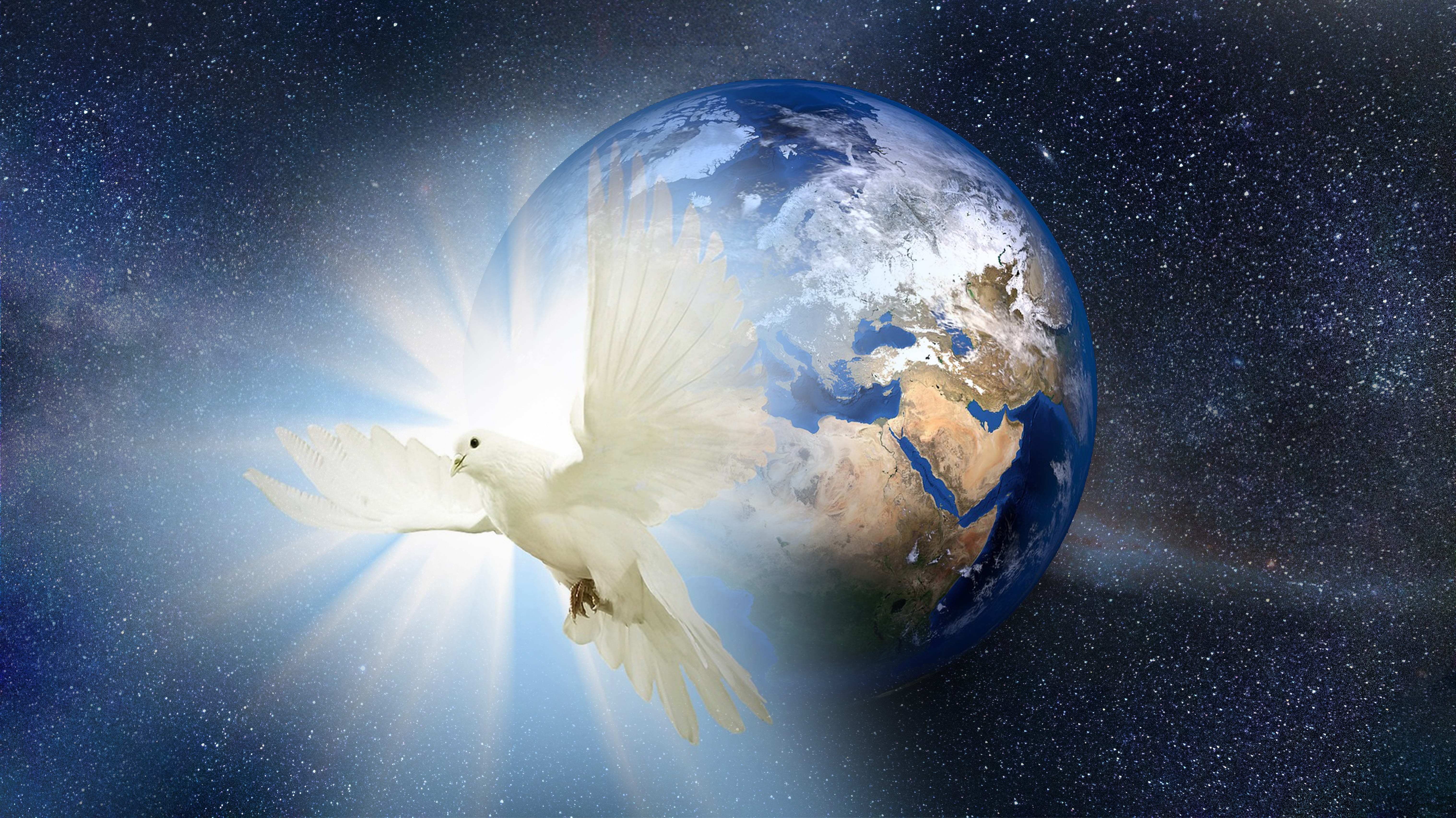water, sunlight, feather, peaceful