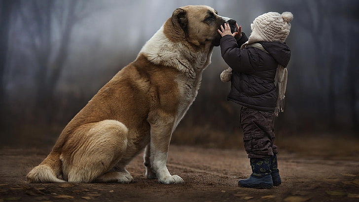 Animals with Babies, pet owner, friendship, hood  clothing, one person