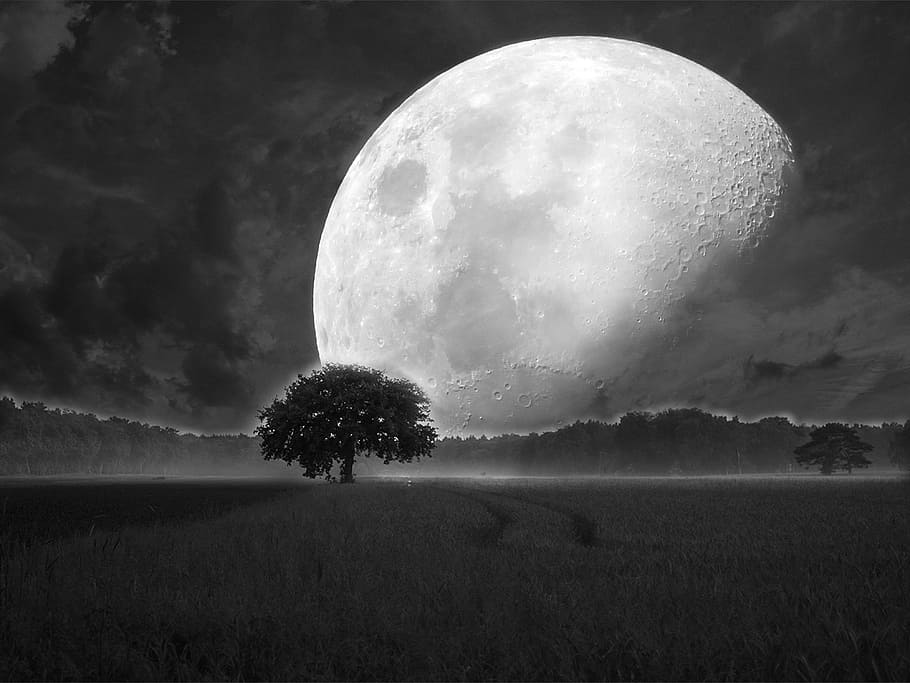 Big Moon Sky, night, dark, milky way, tranquility Free HD Wallpaper