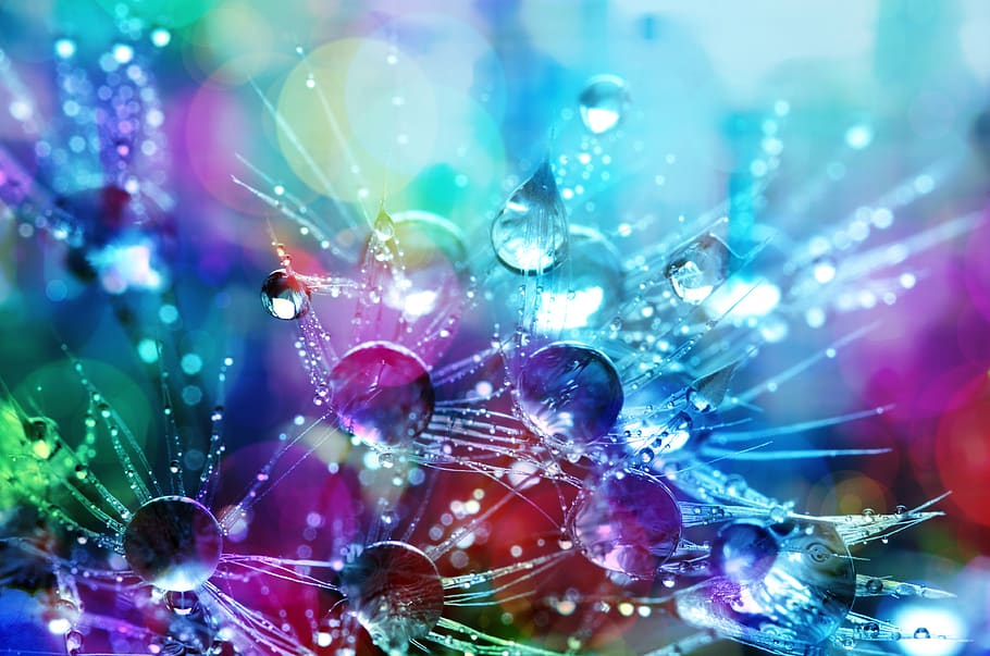 bokeh, bright colours, colors, bubble Free HD Wallpaper