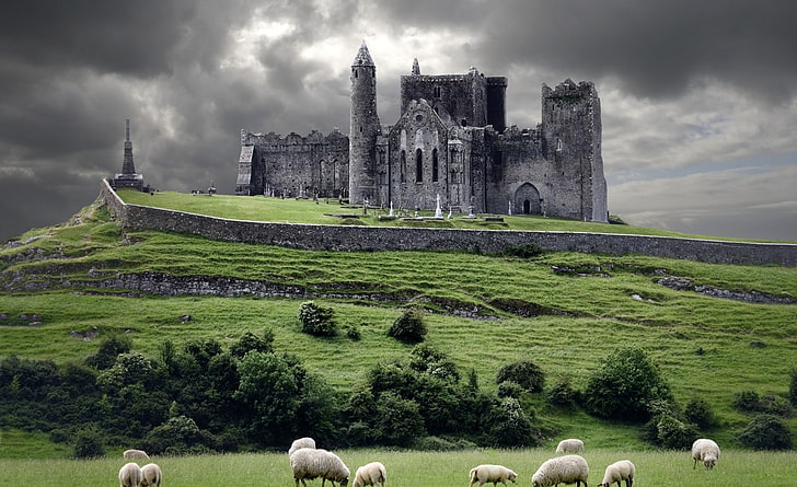 Castles Near Dublin, cashel, cloud  sky, the past, domestic animals Free HD Wallpaper