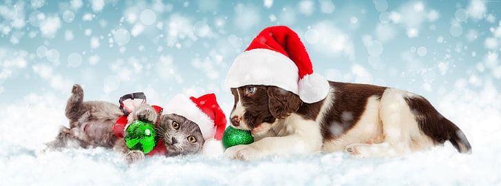 Christmas Email Design, santa, snow, hat, snowfall Free HD Wallpaper