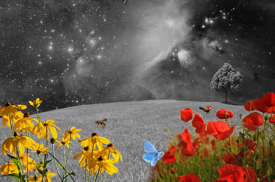 Dark Flower Art, universe, mystical, green meadow, cloud  sky