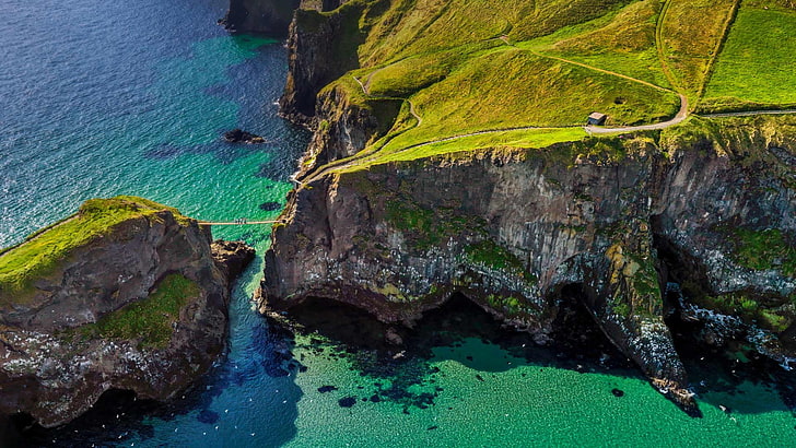 Famous Rope Bridge in Ireland, green color, plant, scenics  nature, solid Free HD Wallpaper