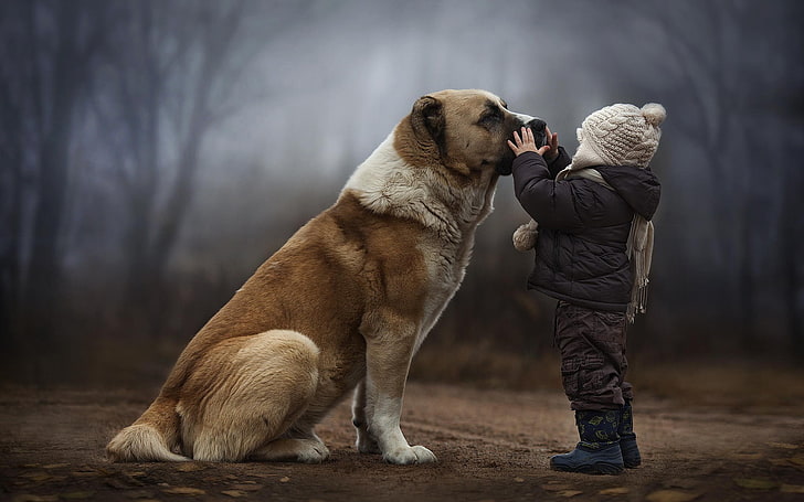 Kids and Animals, one animal, men, real people, domestic animals Free HD Wallpaper