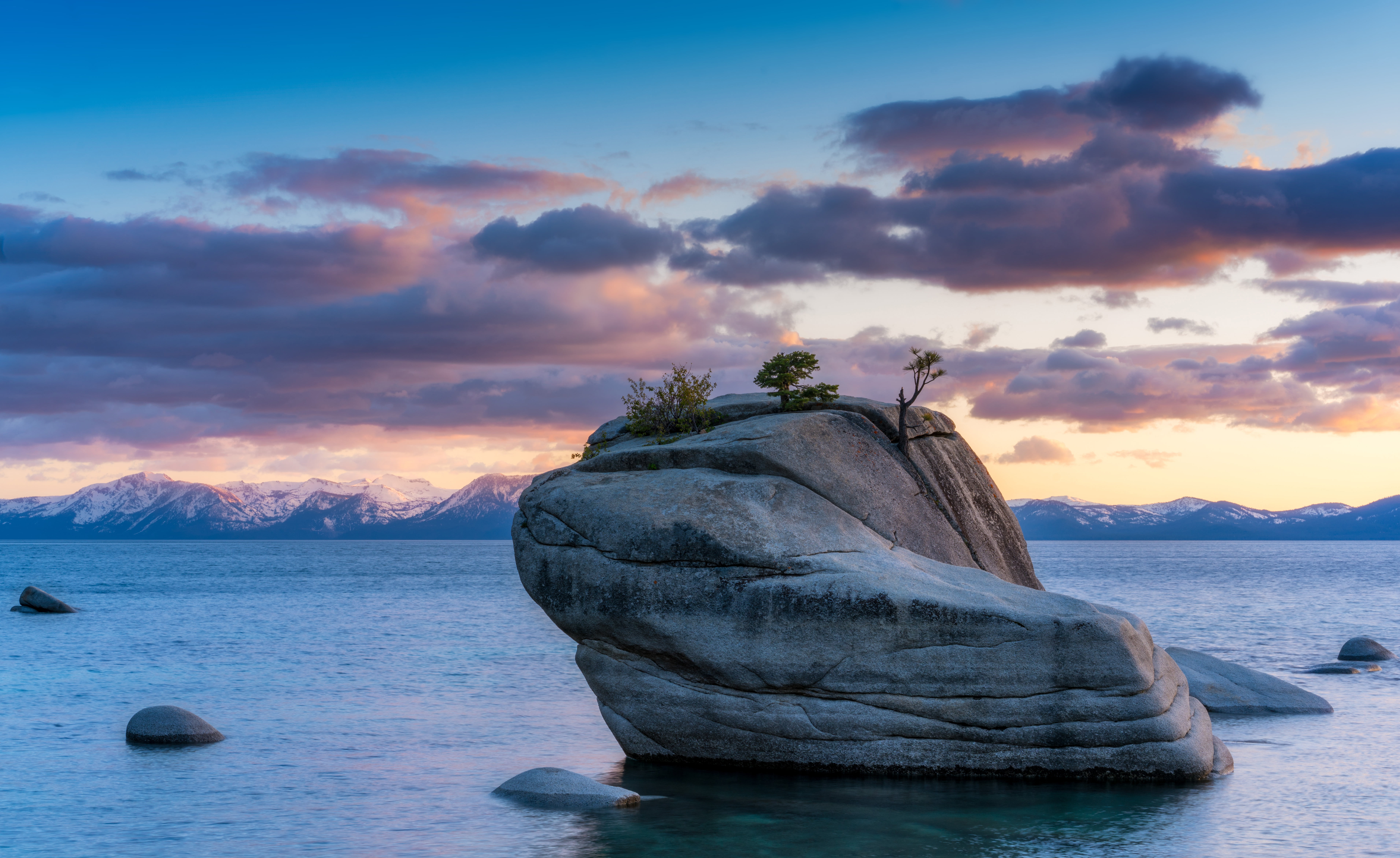 Lake Tahoe Casino Hotels, sea, nevada, bonsai, sky