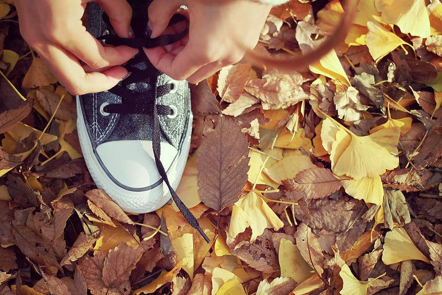 maple leaf, plant part, converse all star, hand Free HD Wallpaper