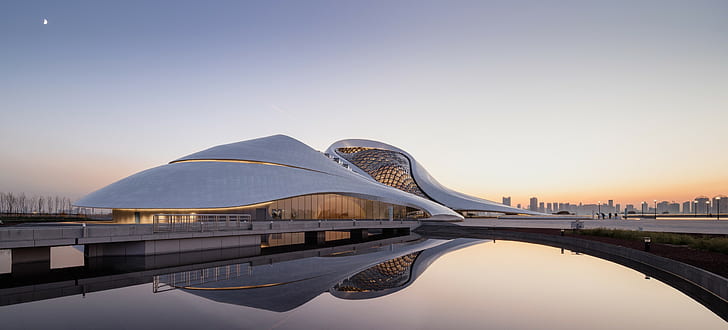 Mardi Gras, skyscraper, harbin opera house, building exterior, clear sky Free HD Wallpaper