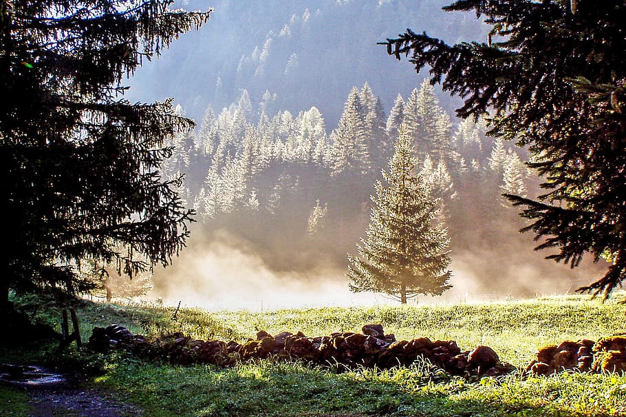 rural scene, nature, woodland, mountain range Free HD Wallpaper