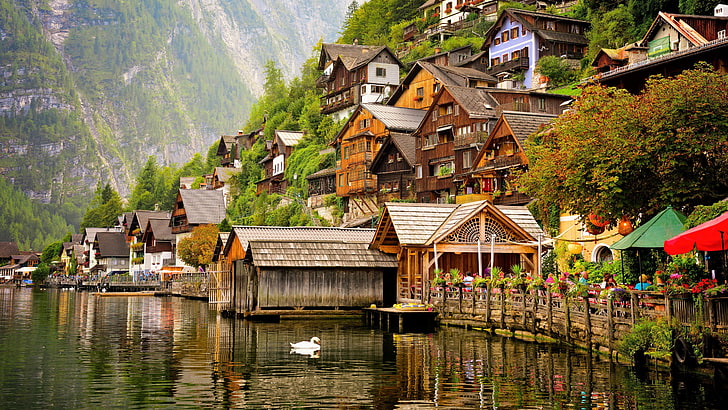 Swimming Lake Hallstatt Austria, mountain village, nature, water, lake hallstatt