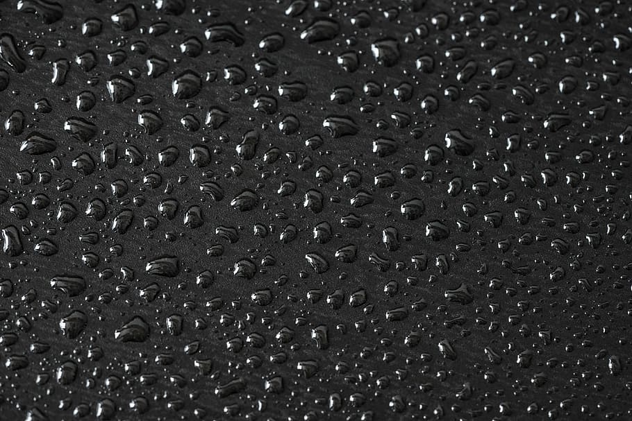 Water Black and White Flowers, closeup, drops, rain, raindrop Free HD Wallpaper