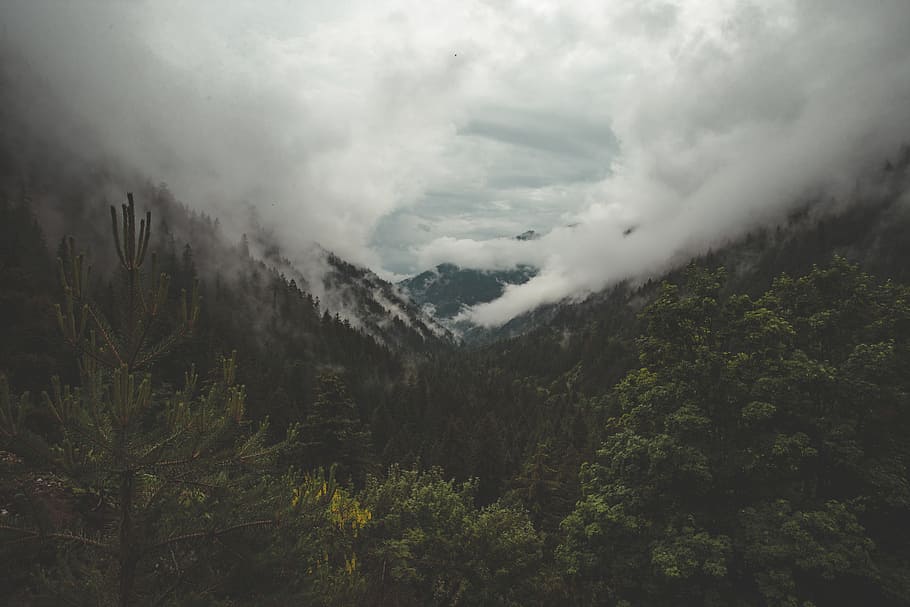 weather, mountain range, overcast, washed out