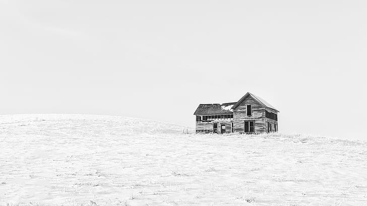 Winter Trees Photography, washington, canon eos 5d mark iii, palouse, pacific northwest Free HD Wallpaper