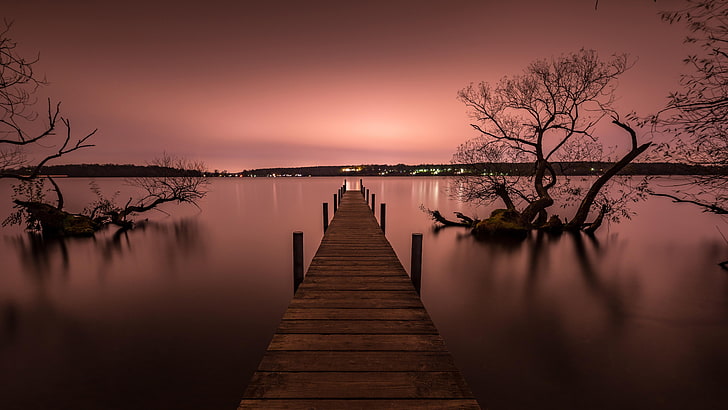 Arizona Sunset Changing, tree, evening, dusk, silent Free HD Wallpaper