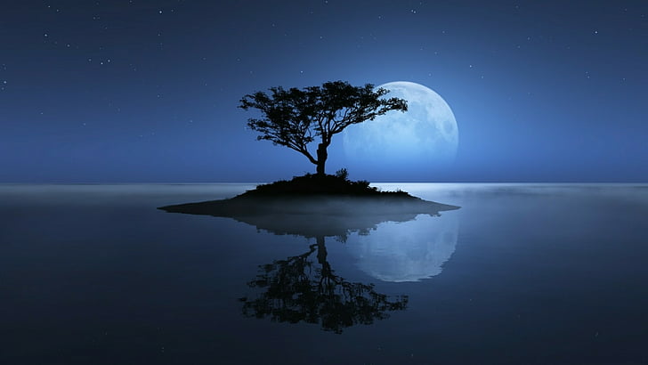 Beautiful Moon Scenery, moonlight, sky, reflection, calm Free HD Wallpaper