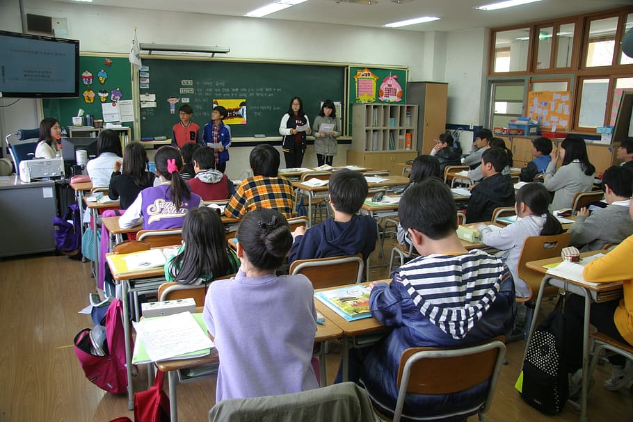 Black Students On Computers, teacher, university, education, crowd