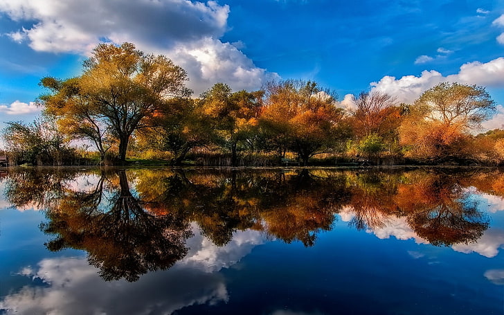 Blue and Purple Sunset, standing water, reflection lake, plant, scenics  nature Free HD Wallpaper