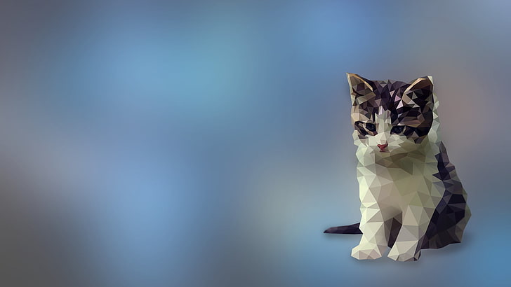 Cat Laptop, bag, feline, digital art, vertebrate Free HD Wallpaper