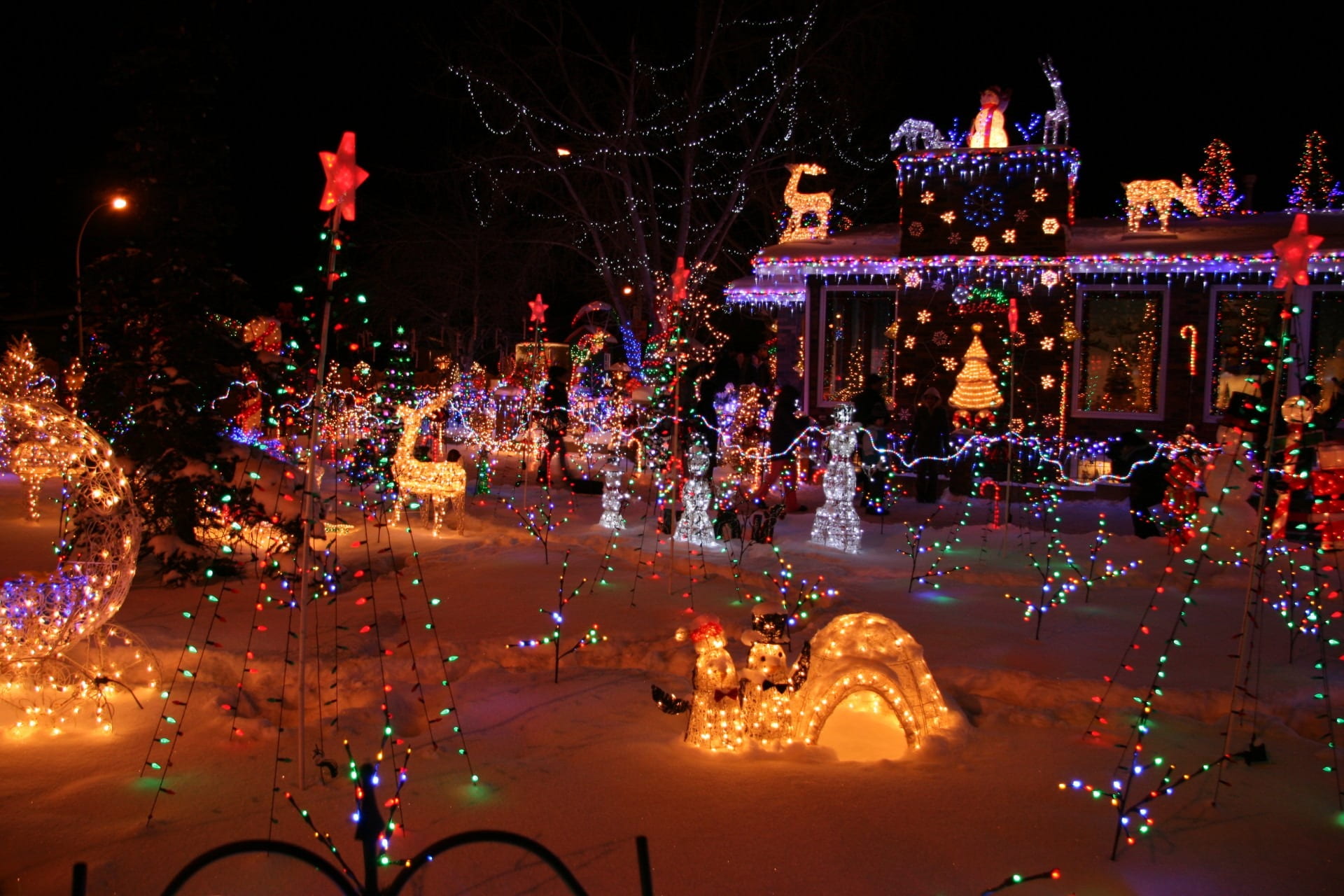 Celebrations LED Christmas Lights, celebration, holiday event, party, december