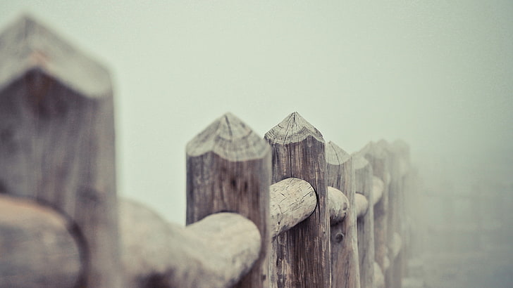 closeup, building exterior, focus on foreground, no people