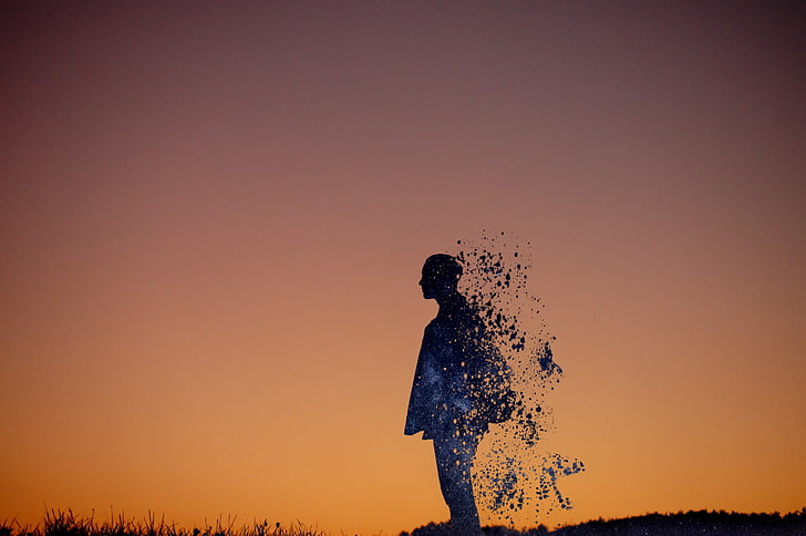 Fading Away, clear sky, beauty in nature, holiday, silhouette