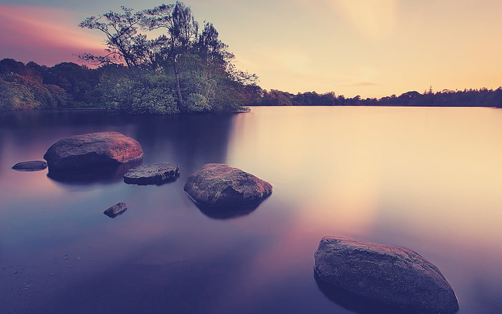 Free Scenic, sunrise  dawn, nature, cloud  sky, plant