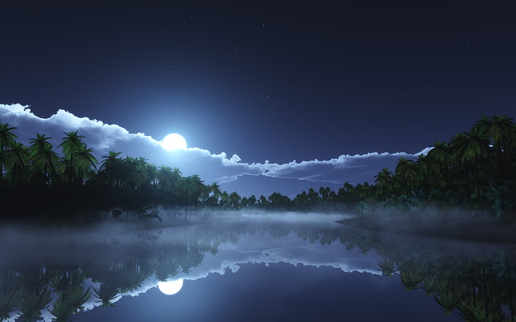 HD Nature Night, night, tranquility, no people, plant