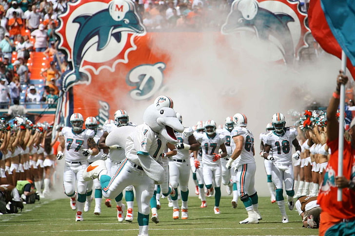 Miami Dolphins Championships, outdoors, full length, american football  sport, people Free HD Wallpaper