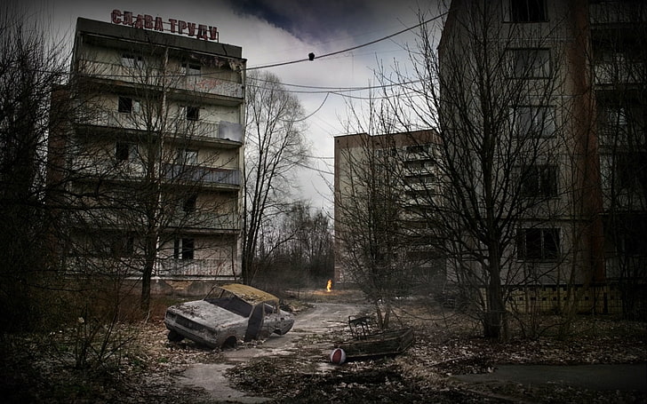 Stalker Game Call of Pripyat, damaged, bare tree, disaster, building exterior Free HD Wallpaper