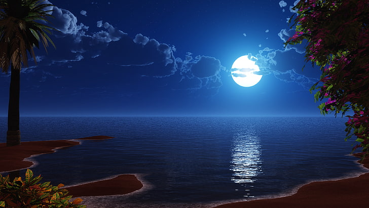 Starry Night Sky, night, nature, horizon, fantasy art Free HD Wallpaper