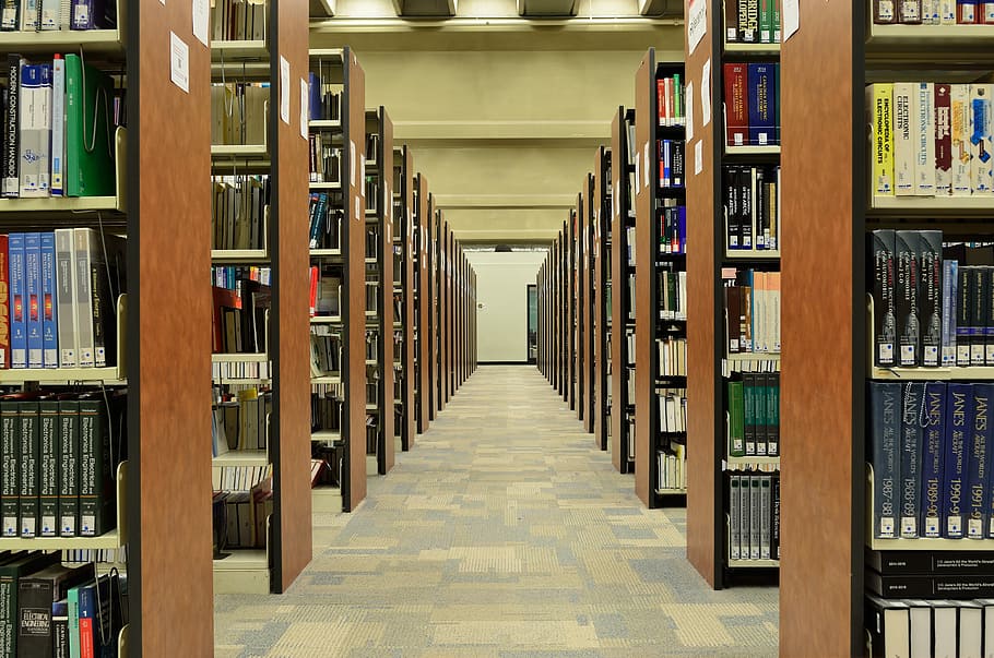 university, no people, architecture, bookshelf Free HD Wallpaper