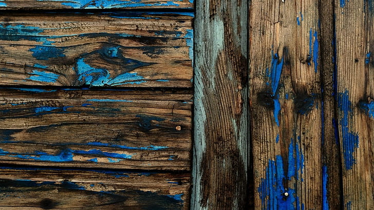 wood grain, closeup, day, macro Free HD Wallpaper