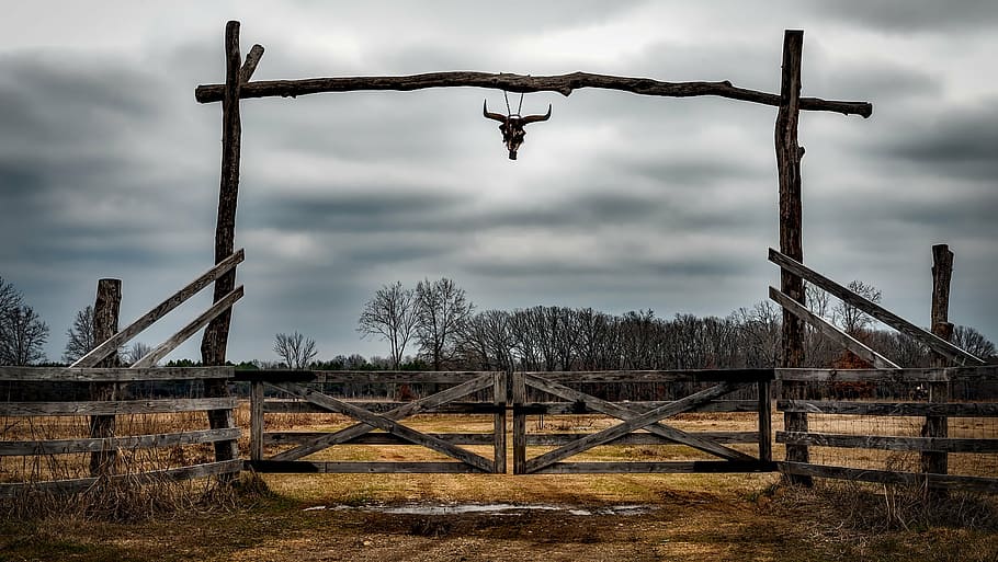 Wyoming Cattle, protection, rusty, cloud  sky, farm Free HD Wallpaper