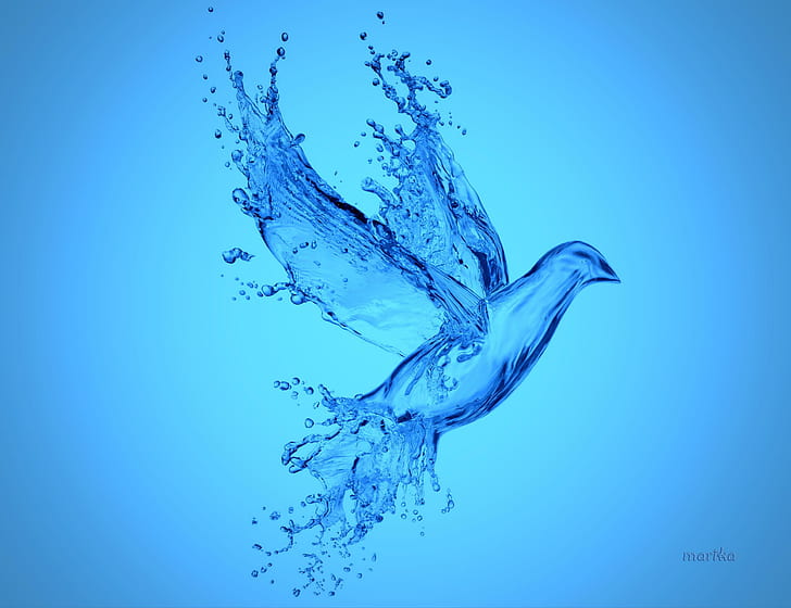 Bird Storm Peace Painting, drops, Aqua Bird, aqua, bird Free HD Wallpaper