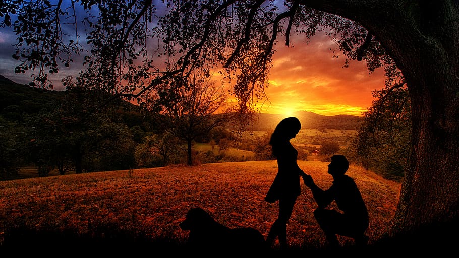 Couple Selfie, tree, child, childhood, son Free HD Wallpaper