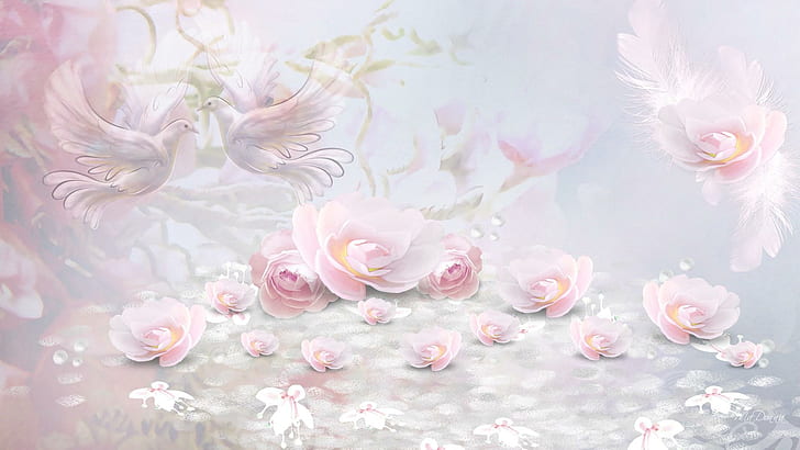 Dove and Rose Tattoo Designs, doves, roses, pink, summer Free HD Wallpaper