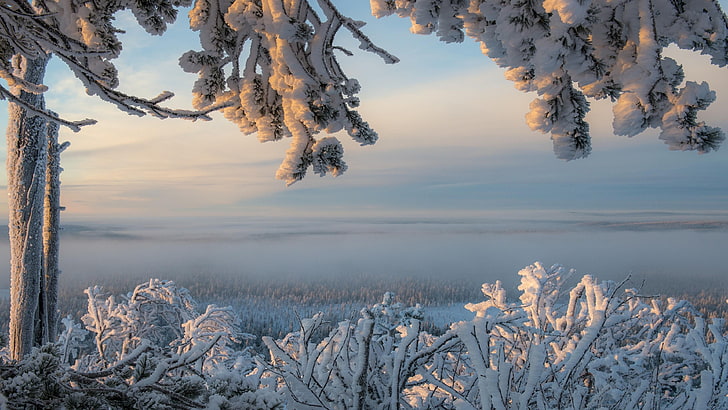 Finnish Lakeland Finland, cold temperature, winter, scenics  nature, morning Free HD Wallpaper