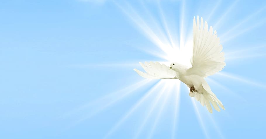 Holy Spirit Clip Art, light shine, flight, embassy, sunlight Free HD Wallpaper