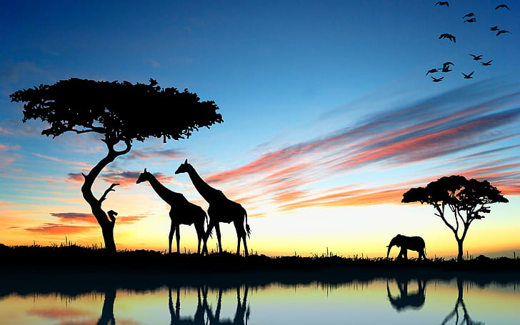 Jungle Animal Silhouette, reflection,, and, africa, sunset Free HD Wallpaper