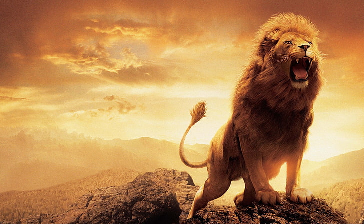 Narnia Lion Statue, animal themes, outdoors, animal wildlife, mouth open Free HD Wallpaper