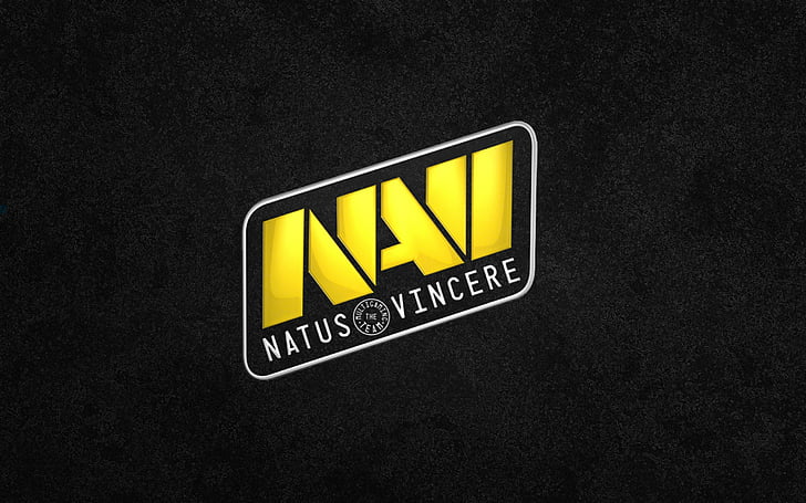 navi, natus, dota2, vincere Free HD Wallpaper