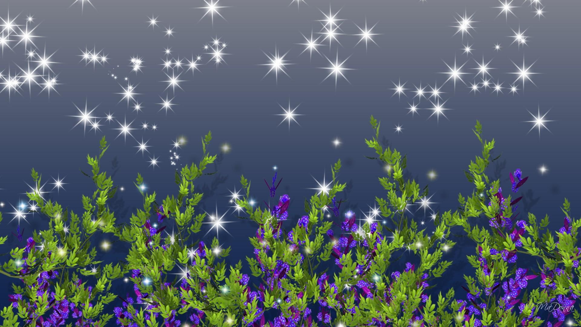 night, wild, blooms, 3d and abstract